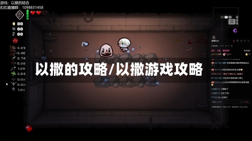 以撒的攻略/以撒游戏攻略-第1张图片