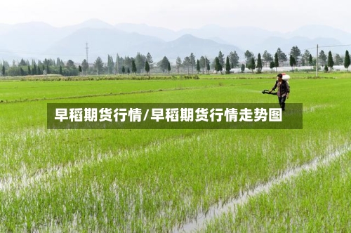 早稻期货行情/早稻期货行情走势图-第1张图片