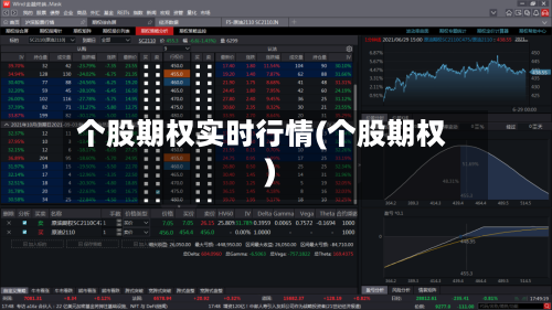 个股期权实时行情(个股期权)-第1张图片