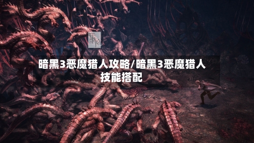 暗黑3恶魔猎人攻略/暗黑3恶魔猎人技能搭配-第1张图片