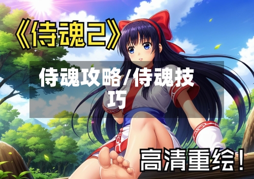 侍魂攻略/侍魂技巧-第1张图片