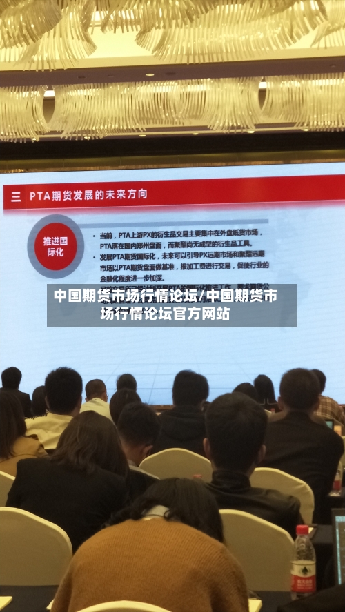 中国期货市场行情论坛/中国期货市场行情论坛官方网站-第1张图片