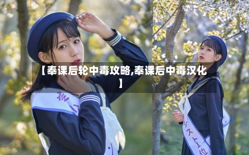 【奉课后轮中毒攻略,奉课后中毒汉化】-第1张图片