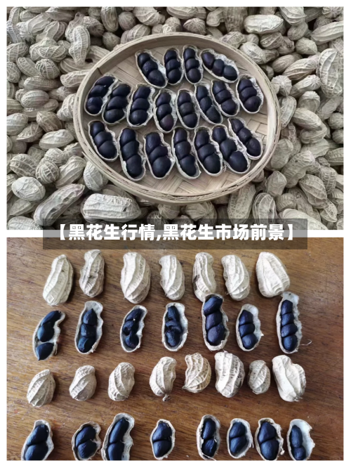 【黑花生行情,黑花生市场前景】-第1张图片