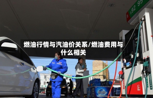 燃油行情与汽油价关系/燃油费用与什么相关-第1张图片