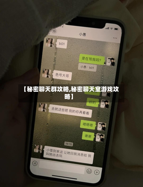 【秘密聊天群攻略,秘密聊天室游戏攻略】-第1张图片