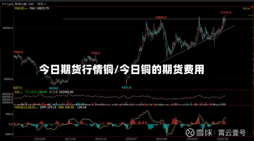 今日期货行情铜/今日铜的期货费用