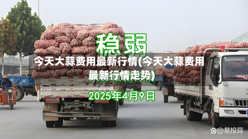 今天大蒜费用最新行情(今天大蒜费用最新行情走势)