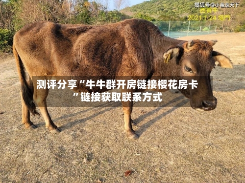 测评分享“牛牛群开房链接樱花房卡”链接获取联系方式