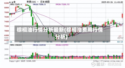 棕榈油行情分析最新(棕榈油费用行情分析)-第2张图片