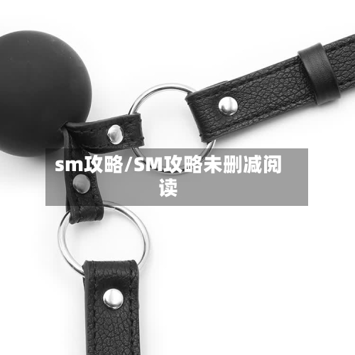 sm攻略/SM攻略未删减阅读