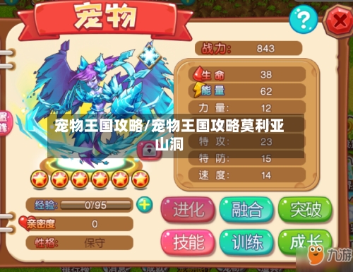 宠物王国攻略/宠物王国攻略莫利亚山洞