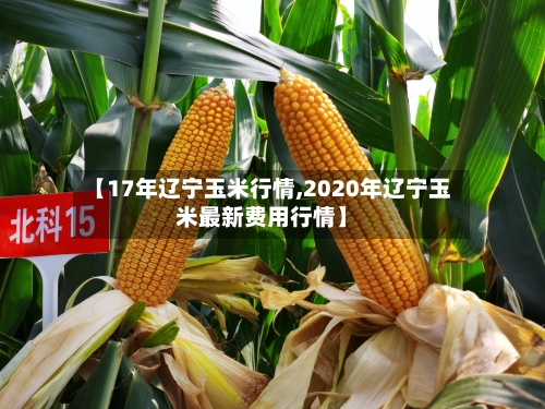 【17年辽宁玉米行情,2020年辽宁玉米最新费用行情】-第1张图片