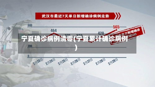 宁夏确诊病例清零(宁夏累计确诊病例)-第1张图片