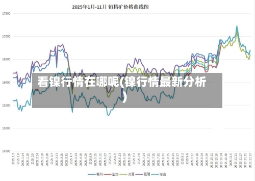 看镍行情在哪呢(镍行情最新分析)