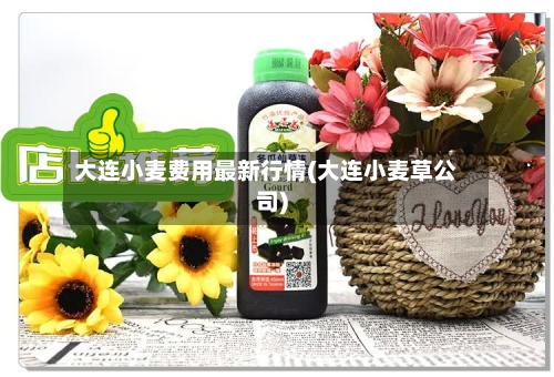 大连小麦费用最新行情(大连小麦草公司)