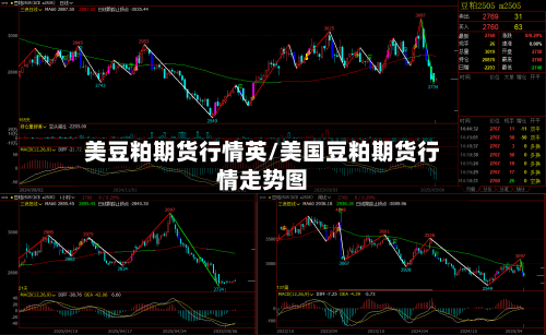 美豆粕期货行情英/美国豆粕期货行情走势图-第1张图片
