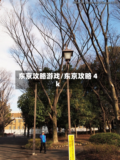 东京攻略游戏/东京攻略 4k-第1张图片