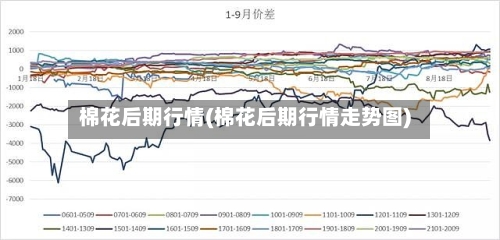 棉花后期行情(棉花后期行情走势图)-第1张图片