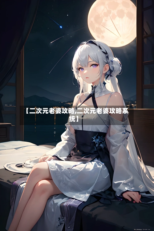 【二次元老婆攻略,二次元老婆攻略系统】