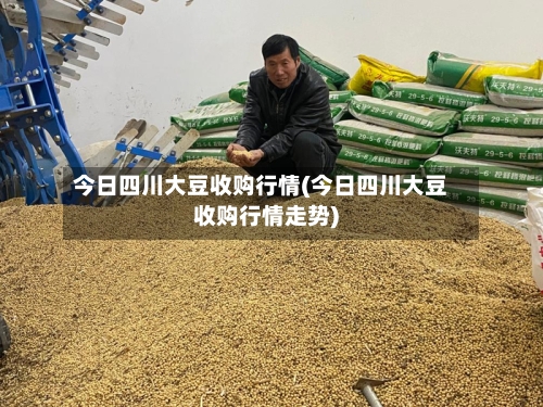 今日四川大豆收购行情(今日四川大豆收购行情走势)-第1张图片