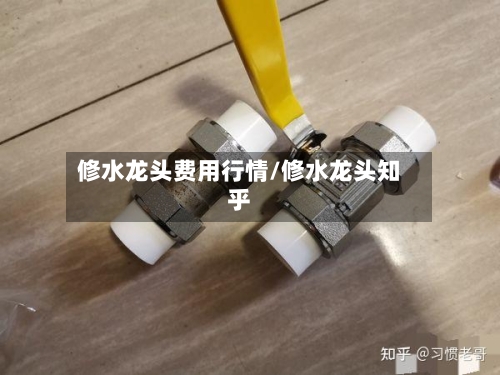 修水龙头费用行情/修水龙头知乎