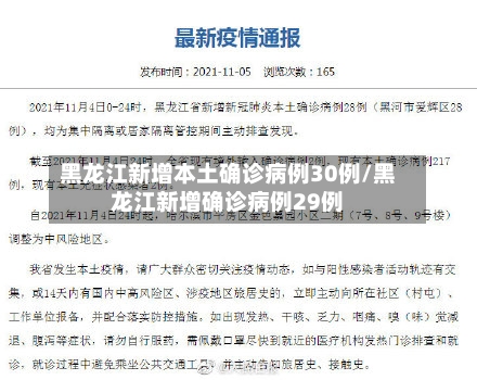 黑龙江新增本土确诊病例30例/黑龙江新增确诊病例29例-第1张图片