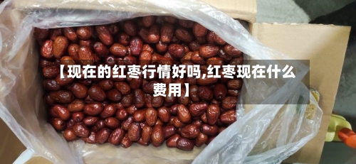 【现在的红枣行情好吗,红枣现在什么费用】-第1张图片