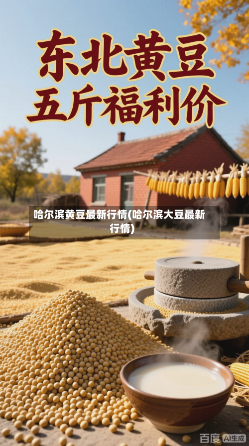 哈尔滨黄豆最新行情(哈尔滨大豆最新行情)-第1张图片