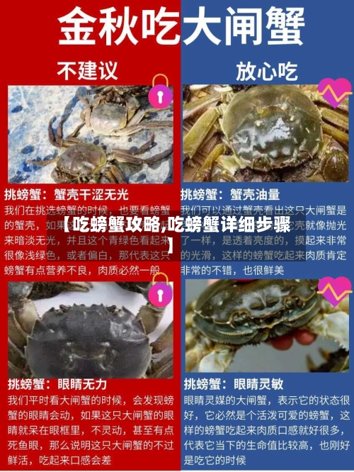 【吃螃蟹攻略,吃螃蟹详细步骤】