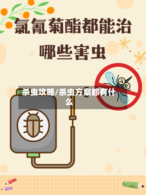 杀虫攻略/杀虫方案都有什么-第1张图片