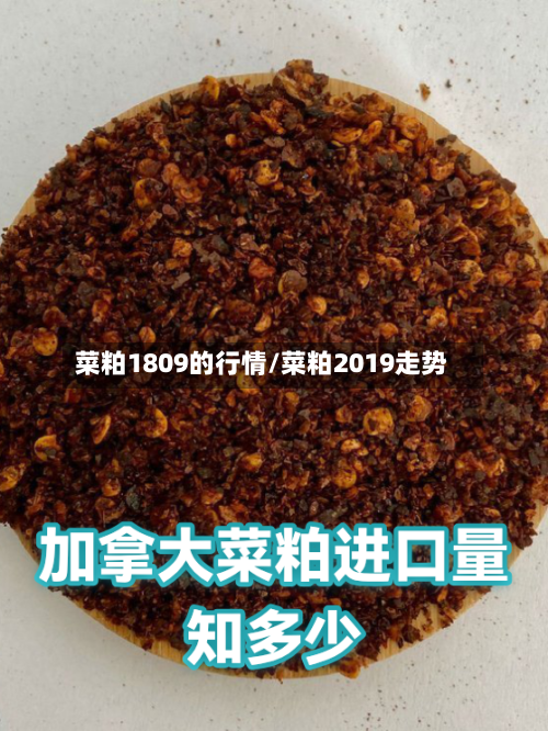 菜粕1809的行情/菜粕2019走势-第1张图片