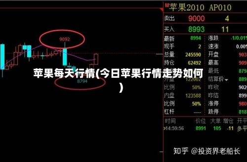 苹果每天行情(今日苹果行情走势如何)-第1张图片