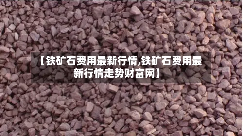 【铁矿石费用最新行情,铁矿石费用最新行情走势财富网】-第1张图片
