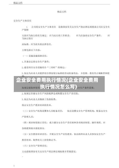 企业安全费用执行情况(企业安全费用执行情况怎么写)-第1张图片