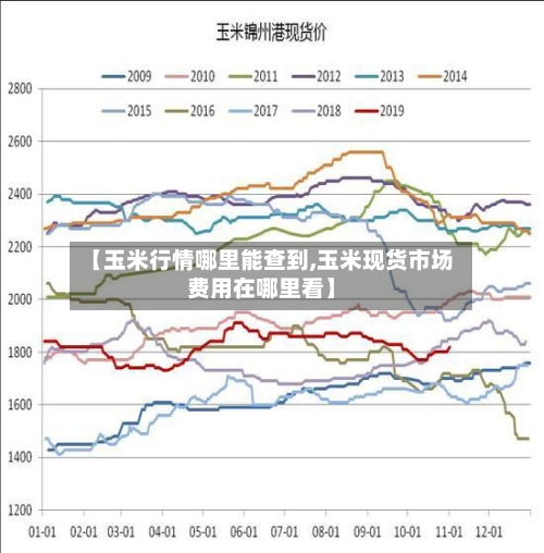 【玉米行情哪里能查到,玉米现货市场费用在哪里看】-第1张图片