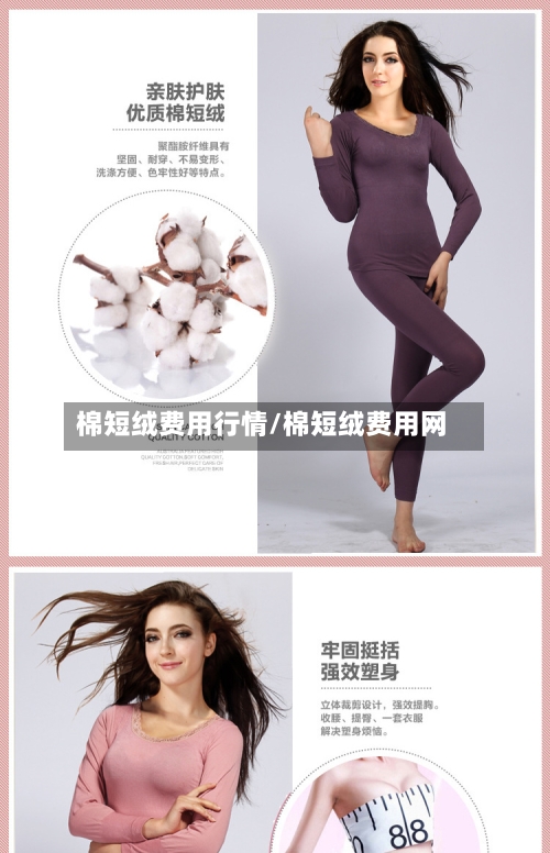 棉短绒费用行情/棉短绒费用网-第1张图片