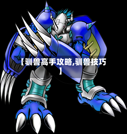 【驯兽高手攻略,驯兽技巧】-第1张图片