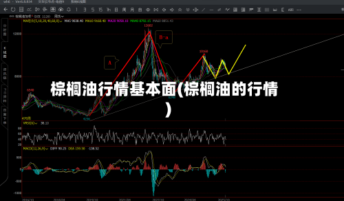 棕榈油行情基本面(棕榈油的行情)-第1张图片