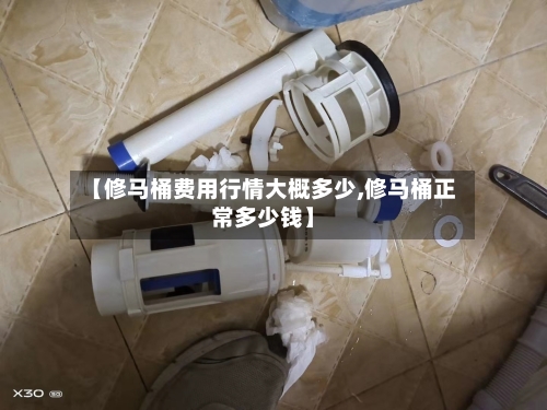 【修马桶费用行情大概多少,修马桶正常多少钱】-第1张图片