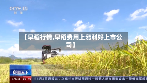 【早稻行情,早稻费用上涨利好上市公司】-第1张图片