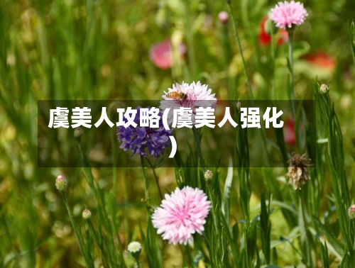 虞美人攻略(虞美人强化)-第1张图片