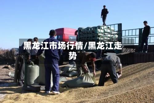 黑龙江市场行情/黑龙江走势-第1张图片