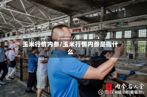 玉米行情内参/玉米行情内参是指什么-第1张图片