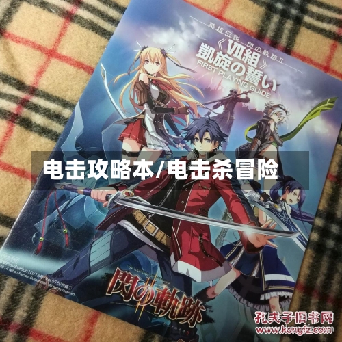 电击攻略本/电击杀冒险-第1张图片