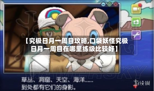 【究极日月一周目攻略,口袋妖怪究极日月一周目在哪里练级比较好】-第1张图片