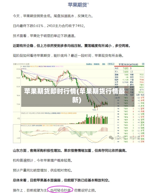 苹果期货即时行情(苹果期货行情最新)-第1张图片