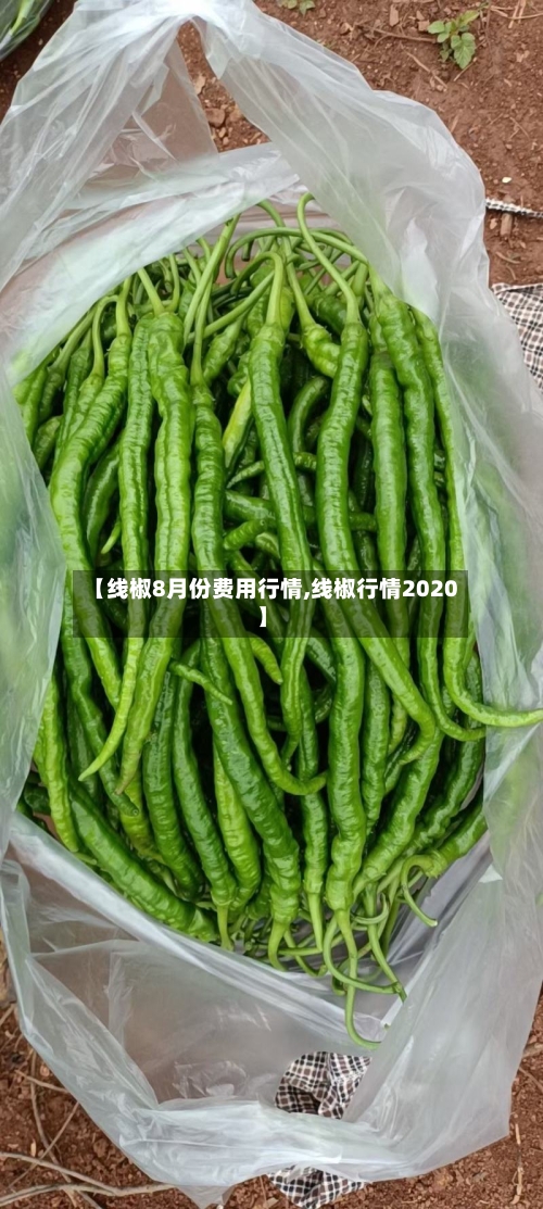 【线椒8月份费用行情,线椒行情2020】-第1张图片