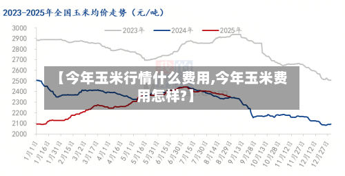 【今年玉米行情什么费用,今年玉米费用怎样?】-第1张图片