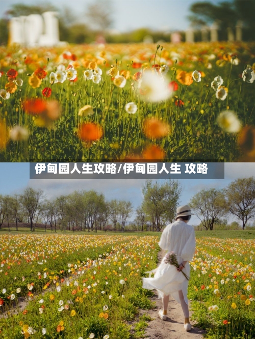 伊甸园人生攻略/伊甸园人生 攻略-第1张图片